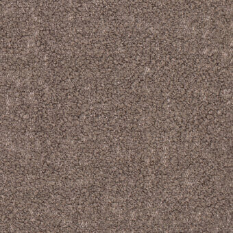 Taupe fabric texture sample “lago > tresigallo (fabric c) > t04” displays a granular, speckled surface with beige and brown tonal variations.